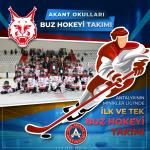 Buz Hokeyi Takımı