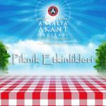 piknik etkinlikleri